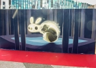 20180921-100 0822  Animalitoland : 2018, ANIMALITOLAND, LA DEFENSE, STREET ART, URBAN WEEK