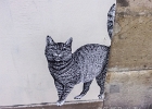20190320-100 1139  Paris - France le 20 mars 2019 : PARIS 19eme, STREET ART