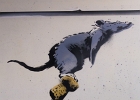 20211116-IMG 2762  Banksy - Le Rat et la bouteille de Champagne - Paris - France - 2018 - The Word of Banksy -  Paris 9eme - France - le 16/11/2021 : PARIS, STREET ART, STREET ART-BANKSY