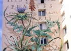 20240412-100 3396  Mona Caron - Histoire des plantes (2020) - Quartier Bernard de Jussieu -  Versailles - France - le 12/04/2024 : STREET ART, STREET ART-MONA CARON, YVELINES-VERSAILLES