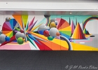20250730-152013-IMG 9108  Okuda - Zoo Art Show - 4 place de la Défense -  Puteaux - France - le 30/07/2025