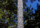20251005-115243-100 3837  Martin Peronard  Totem - Street Art Parc -  Candes Saint Martin - France - le 05/10/2025 : CANDES SAINT MARTIN, STREET ART