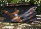 20251005-115345-100 3838  Drope  Nuts linvité dhonneur - Street Art Parc -  Candes Saint Martin - France - le 05/10/2025 : CANDES SAINT MARTIN, STREET ART