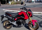 20200808-100 1892  Honda MSX 125cm3 - Loire Atlantique - France le 8 août 2020 : HONDA, HONDA MSX 125cm3, MOTO, MOTOS HORS HARLEY, SAINT MICHEL CHEF CHEF (44)